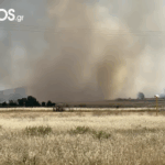 Πυρκαγιά σε χαμηλή βλάστηση στην περιοχή Αγνάτια Αλεξανδρούπολης