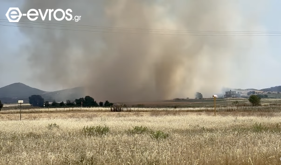 Πυρκαγιά σε χαμηλή βλάστηση στην περιοχή Αγνάτια Αλεξανδρούπολης