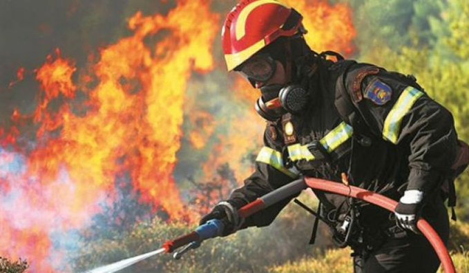Πυρκαγιά σε δασική έκταση στους Αγίους Αναργύρους Σπάρτης
