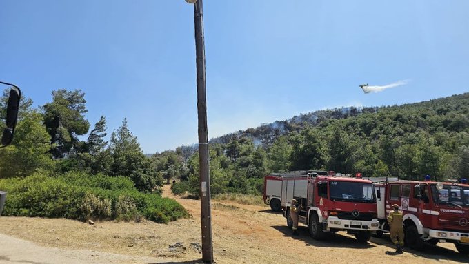Πυροσβεστική: 22 αγροτοδασικές πυρκαγιές το τελευταίο 24ωρο