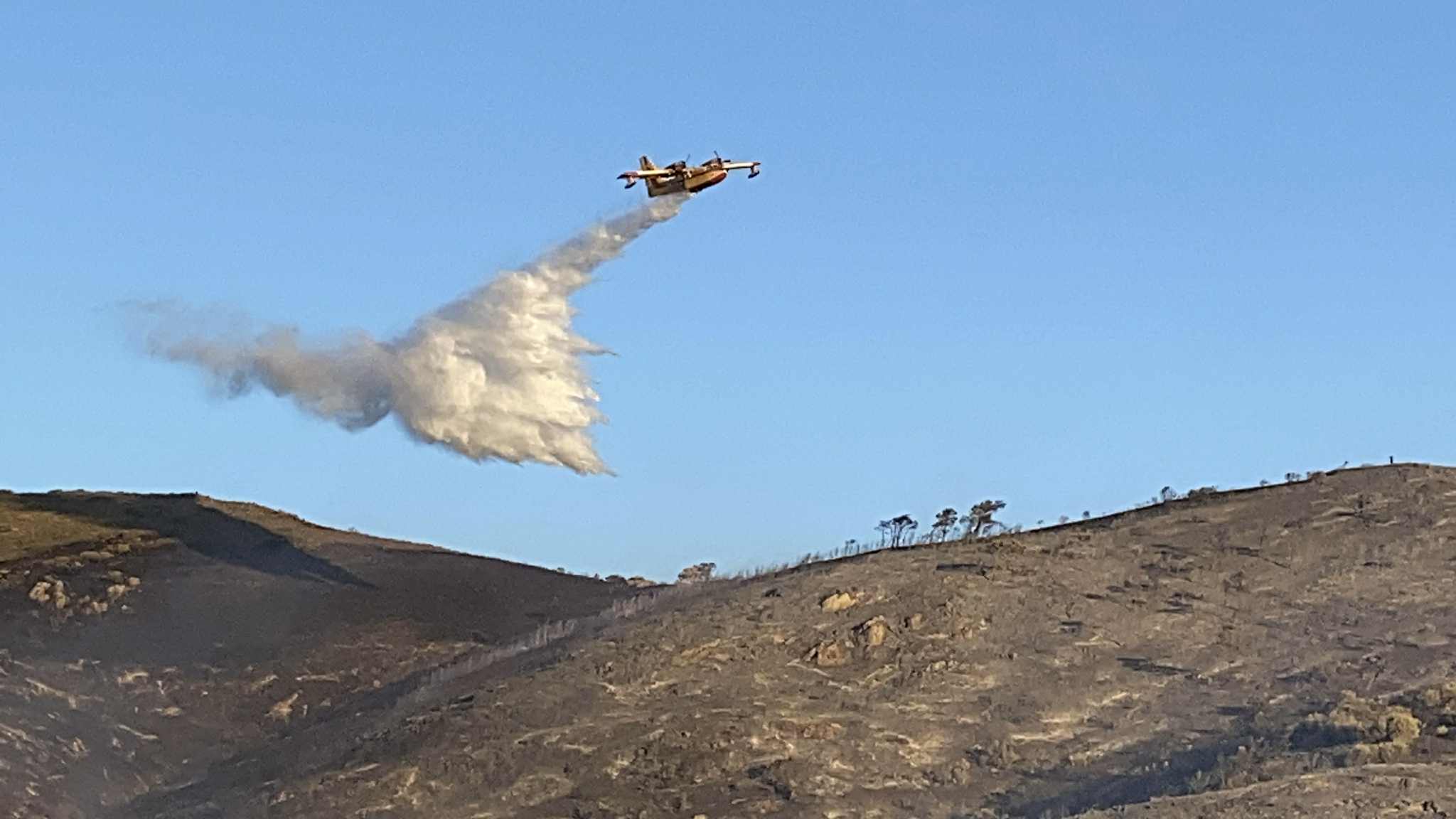 Παλαιά Φώκαια: Η πυρκαγιά προκλήθηκε από καλώδιο του ΔΕΔΔΗΕ