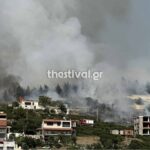 Πυρκαγιά σε δασική έκταση στην περιοχή Ευκαρπία Θεσσαλονίκης