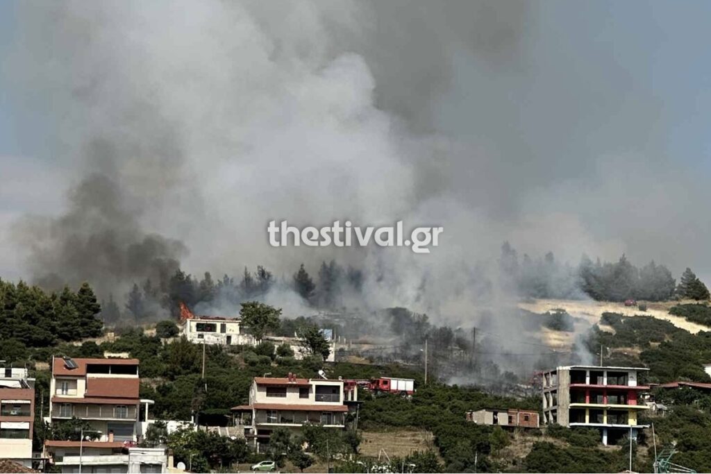 Πυρκαγιά σε δασική έκταση στην περιοχή Ευκαρπία Θεσσαλονίκης