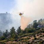 Σύλληψη 35χρονης για φωτιά στη Χίο – Πέταξε τσιγάρο σε ξηρά χόρτα