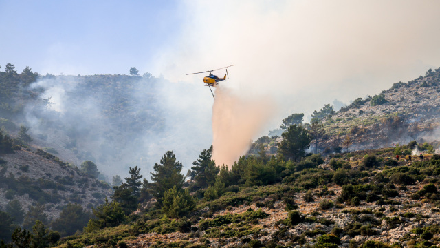 Σύλληψη 35χρονης για φωτιά στη Χίο – Πέταξε τσιγάρο σε ξηρά χόρτα