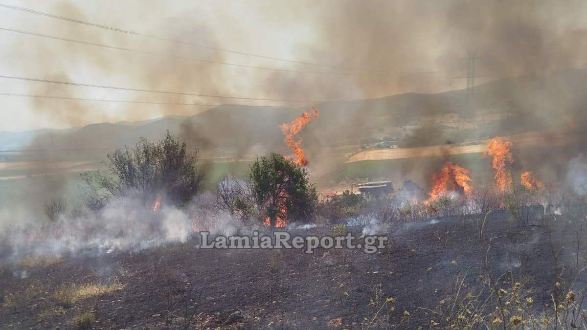 Πυρκαγιά σε αγροτοδασική περιοχή κοντά στα Γαβράκια Φθιώτιδας
