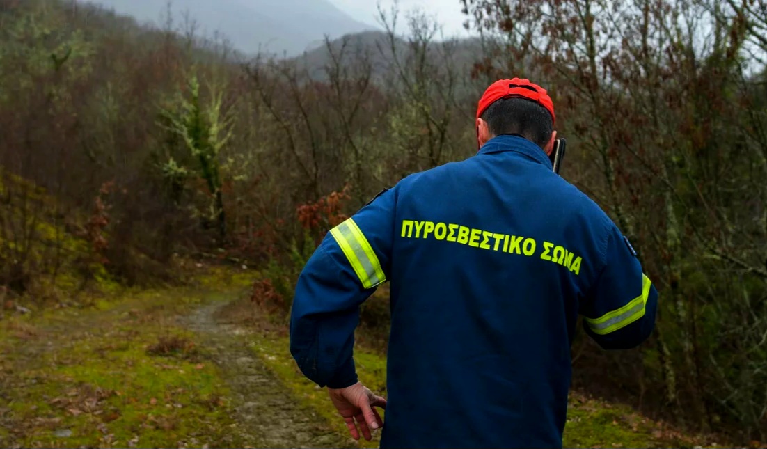 Δράμα: Επίθεση αρκούδας σε 2 ορειβάτες – Επιχείρηση διάσωσης σε εξέλιξη