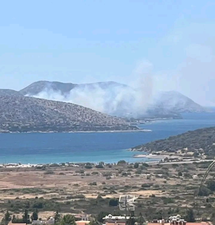 Πυρκαγιά σε χαμηλή βλάστηση στην Παλαία Φώκαια Αττικής