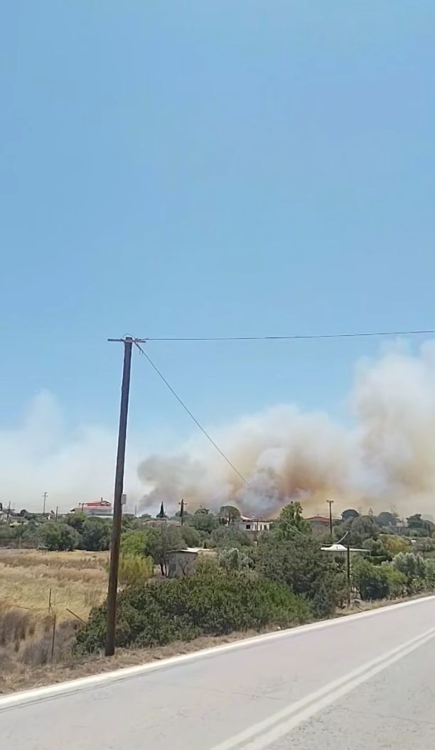 Πυρκαγιά σε χαμηλή βλάστηση στην Παλαία Φώκαια Αττικής