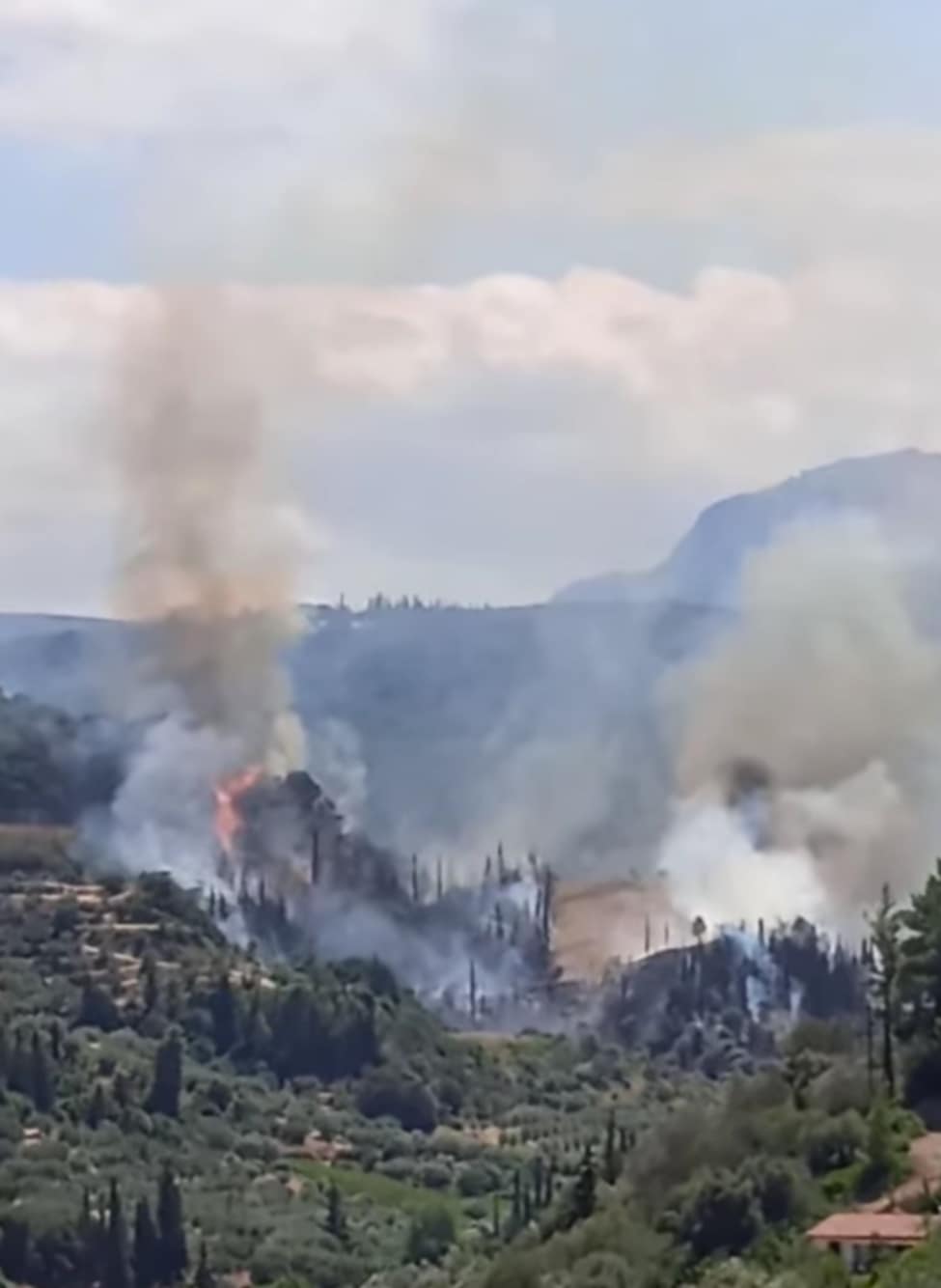 Πυρκαγιά σε αγροτοδασική έκταση στην περιοχή Νεραντζιές Αχαΐας