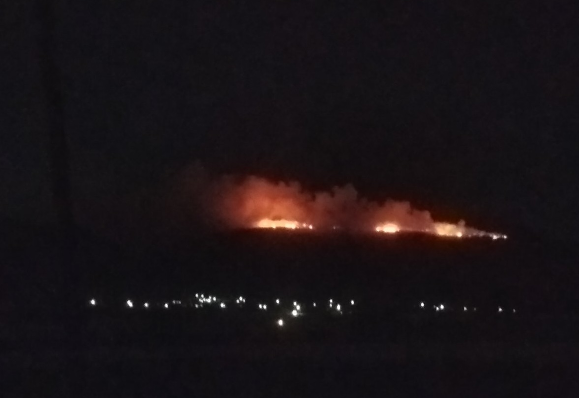 Πυρκαγιά σε δασική έκταση στην περιοχή Κοκκίνω Λάρισας