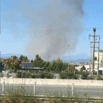 Πυρκαγιά σε χαμηλή βλάστηση στο Δήλεσι Βοιωτίας