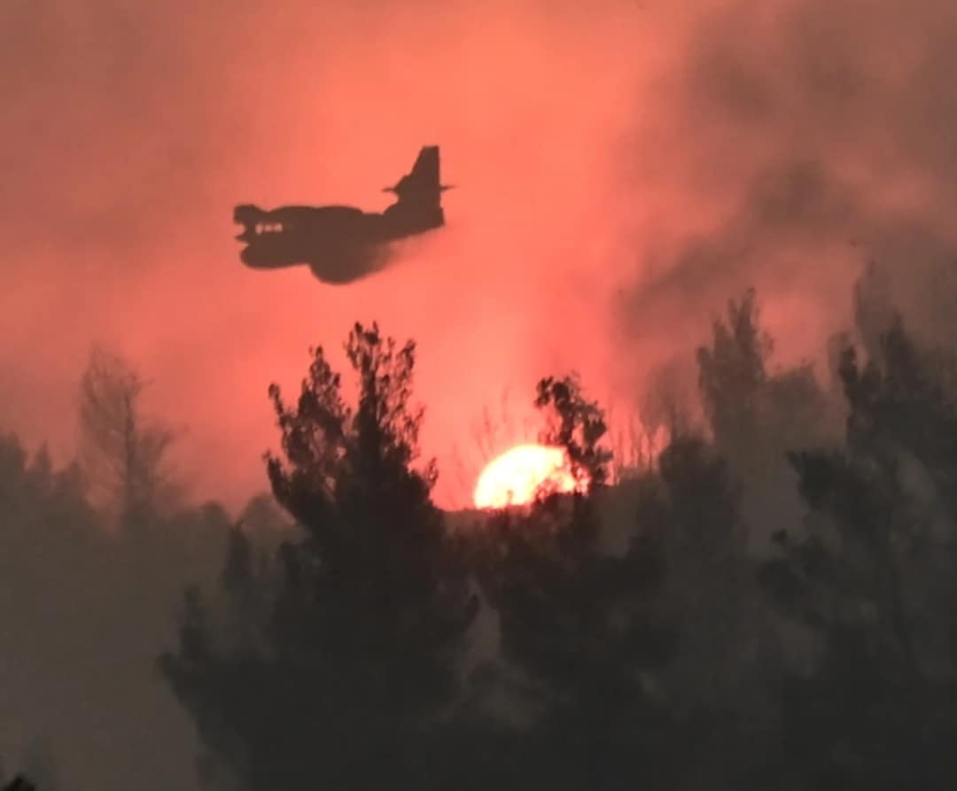 Πυροσβεστική: 56 αγροτοδασικές πυρκαγιές το τελευταίο 24ωρο