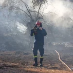 Πυροσβεστική: 48 αγροτοδασικές πυρκαγιές το τελευταίο 24ωρο