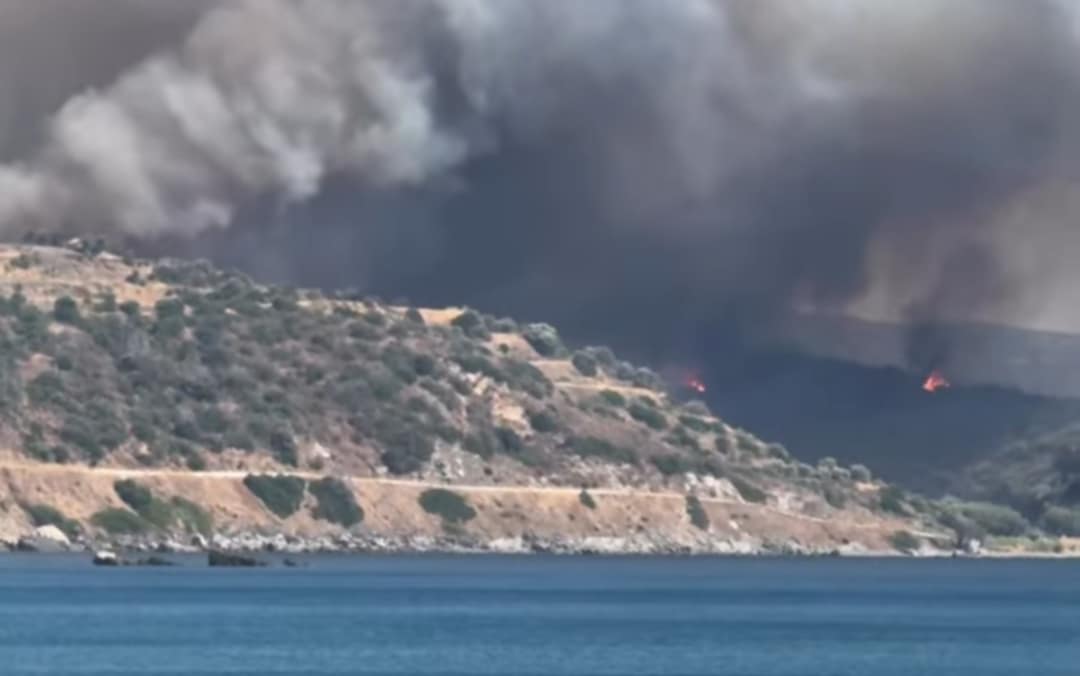 Πυρκαγιά σε χαμηλή βλάστηση στην περιοχή Λάχι Λακωνίας