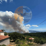 Πυρκαγιά σε χαμηλή βλάστηση στην περιοχή Βαθύρεμα Λάρισας