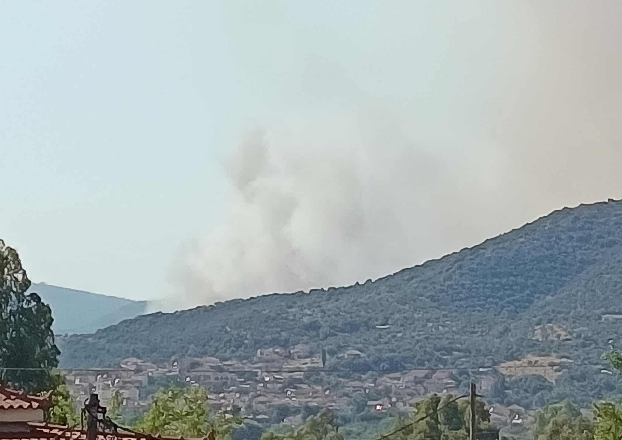 Πυρκαγιά σε αγροτοδασική έκταση στην περιοχή Νεοχώρι Μεσσηνίας