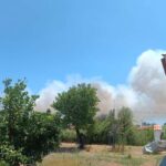 Πυρκαγιά σε χαμηλή βλάστηση στον Μαραθώνα