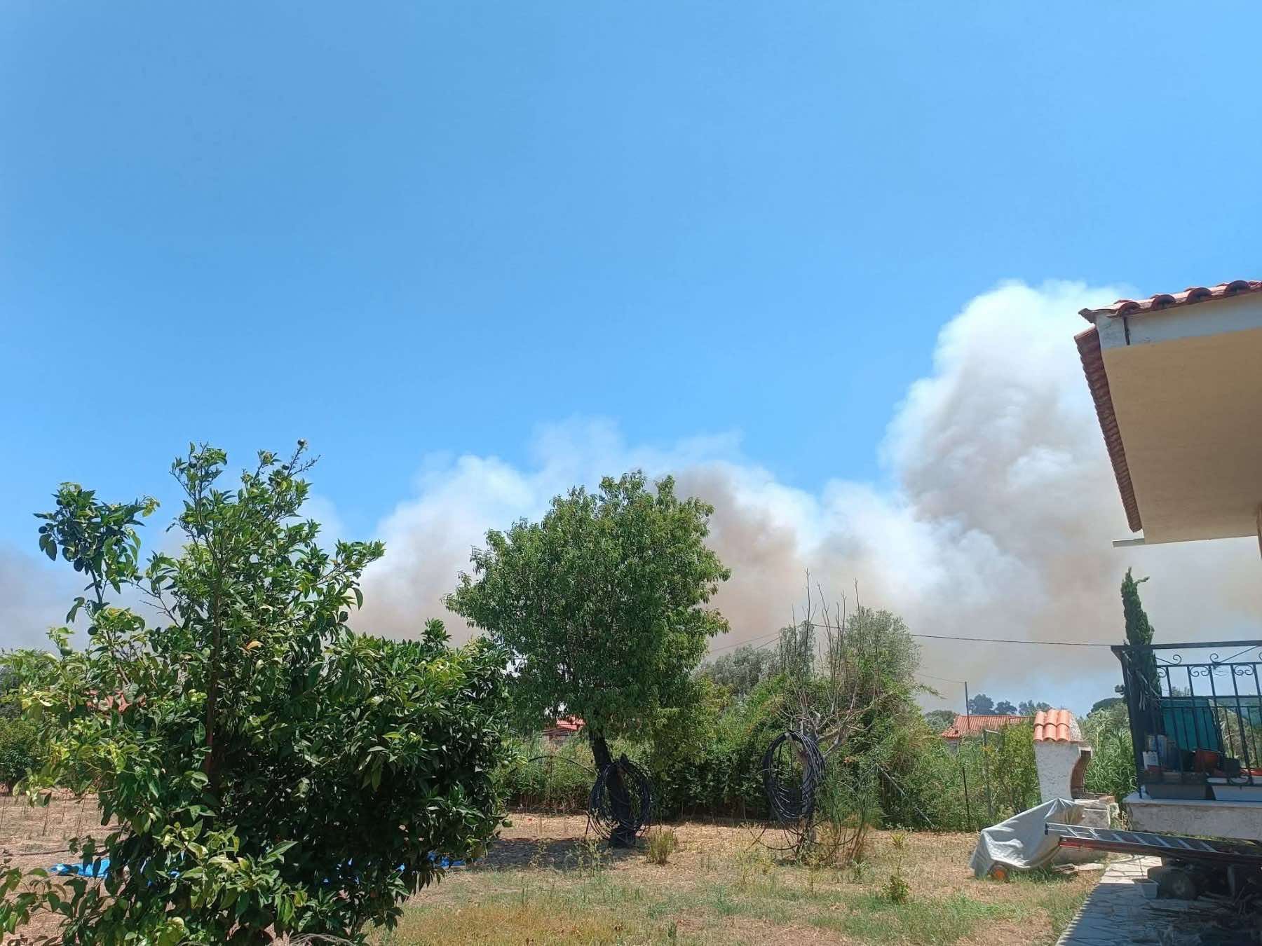Πυρκαγιά σε χαμηλή βλάστηση στον Μαραθώνα