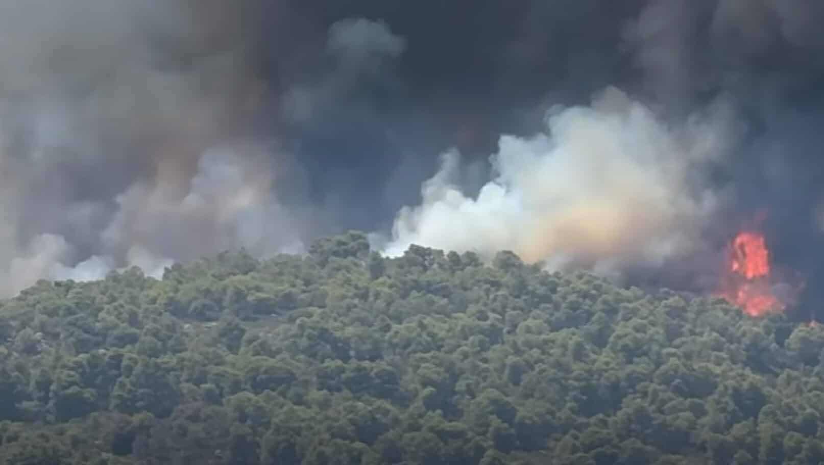 Πυρκαγιά σε δασική έκταση στην Βουρβουρού Χαλκιδικής