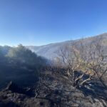 Σε ύφεση η πυρκαγιά στα Μεσοχώρια Ευβοίας - Ενισχύθηκαν οι δυνάμεις