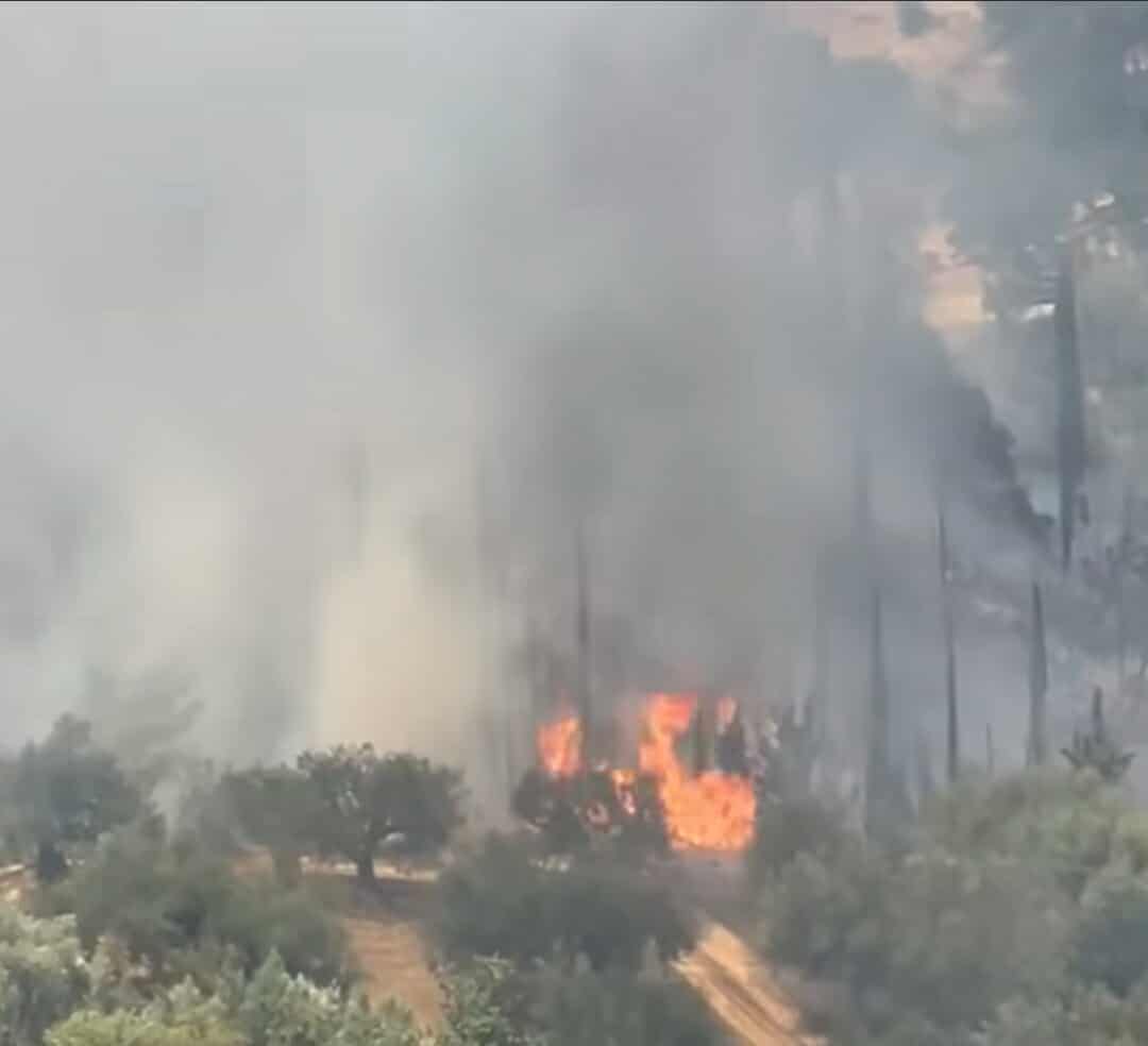 Πυρκαγιά σε αγροτοδασική έκταση στην περιοχή Νεραντζιές Αχαΐας