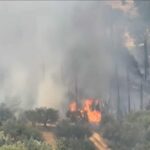 Πυρκαγιά σε αγροταδασική έκταση στις Νεραντζιές Αιγιαλείας
