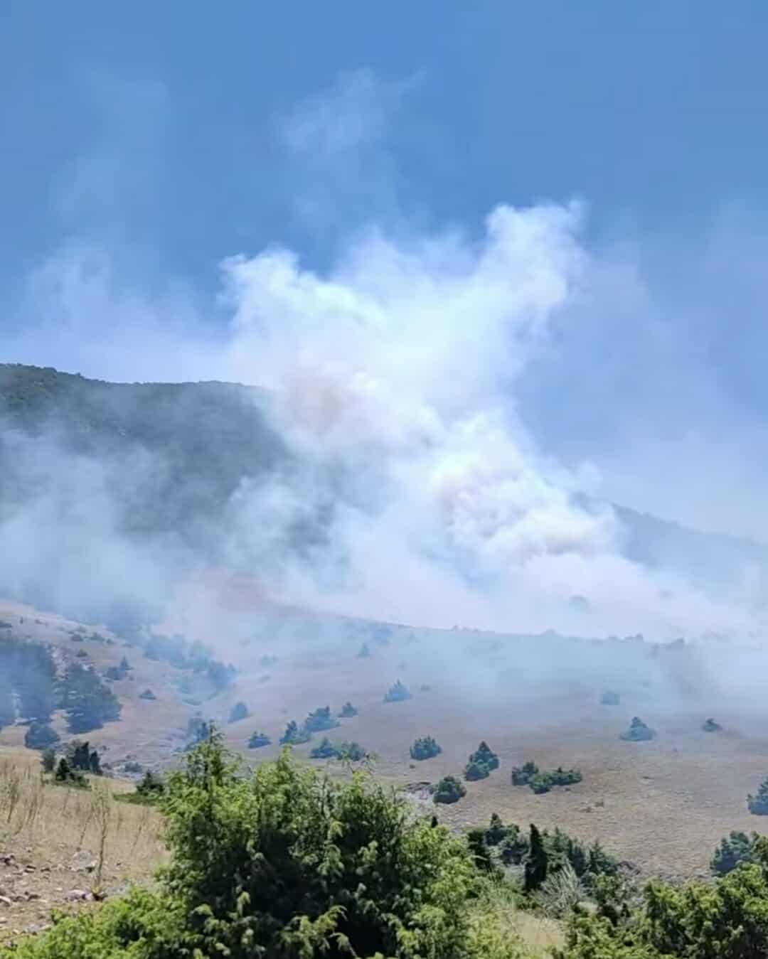 Πυρκαγιά σε αγροτοδασική έκταση στην περιοχή Δρέπανο Κοζάνης