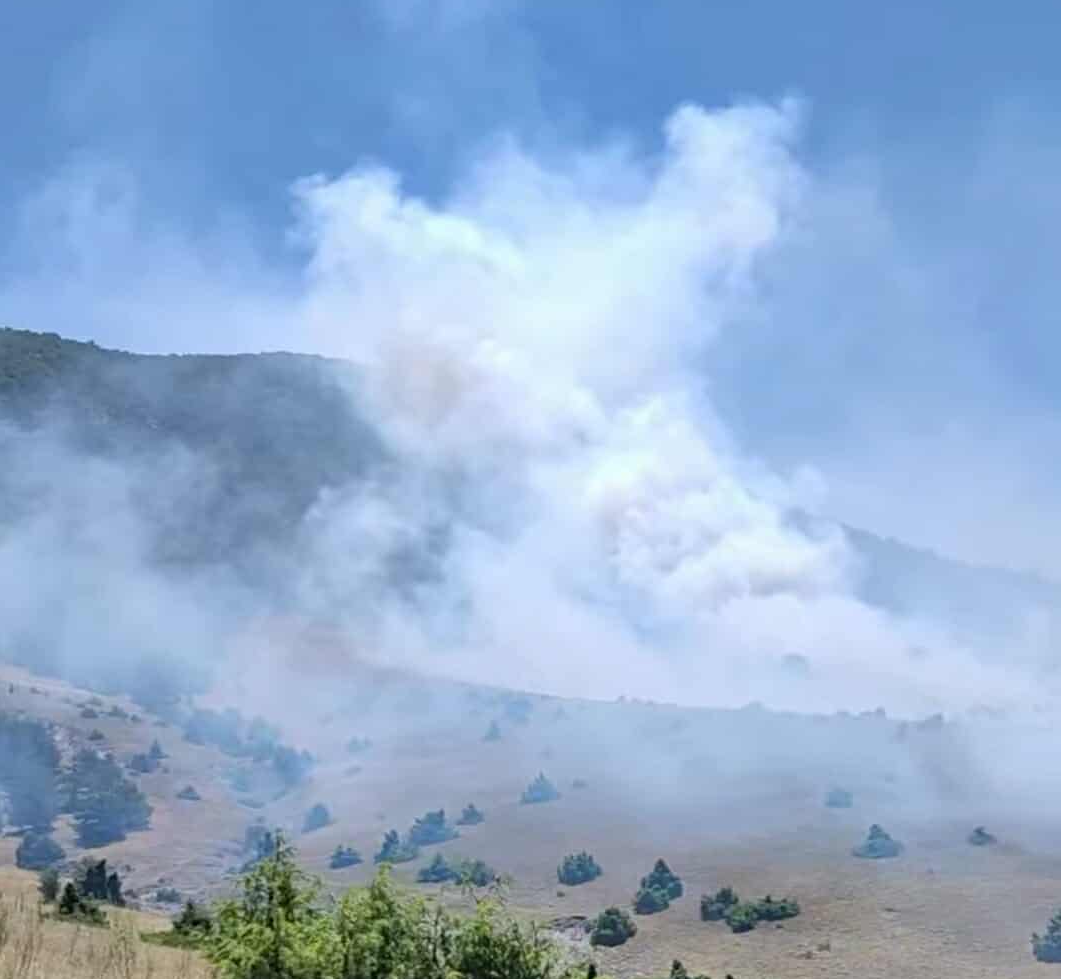 Πυρκαγιά σε αγροτοδασική έκταση στην περιοχή Δρέπανο Κοζάνης