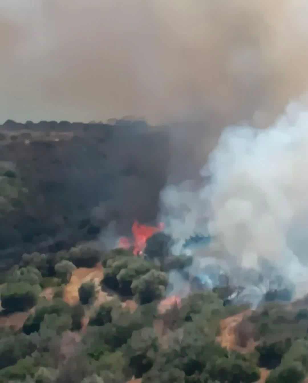 Πυρκαγιά σε χαμηλή βλάστηση στην περιοχή Λάχι Λακωνίας