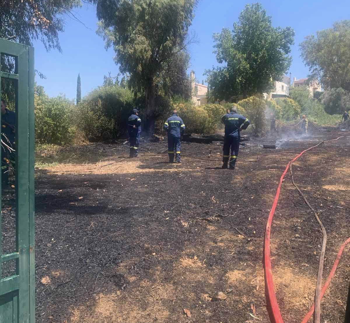 Άμεσα τέθηκε υπό έλεγχο η πυρκαγιά στην περιοχή Ήμερο Πεύκο στα Σπάτα