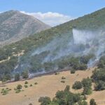 Κοζάνη: Σύλληψη 75χρονου για τη πυρκαγιά στο Δρέπανο – Έκανε εργασίες με τροχό