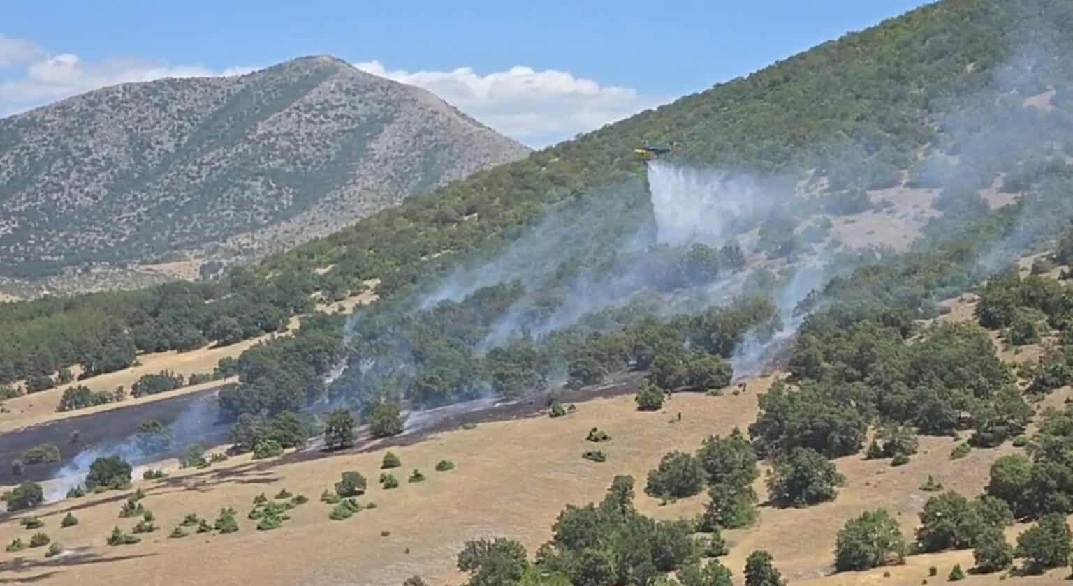 Κοζάνη: Σύλληψη 75χρονου για τη πυρκαγιά στο Δρέπανο – Έκανε εργασίες με τροχό