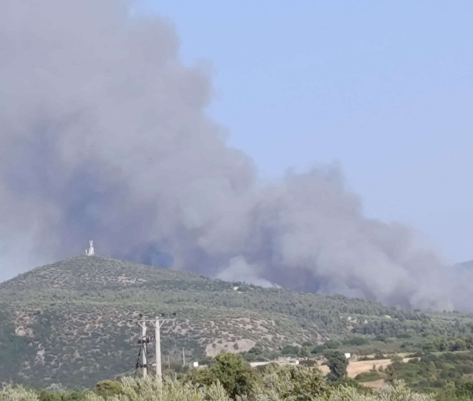 Μεγάλη πυρκαγιά σε αγροτοδασική έκταση στο Ασπροχώρι Ωρωπού Αττικής