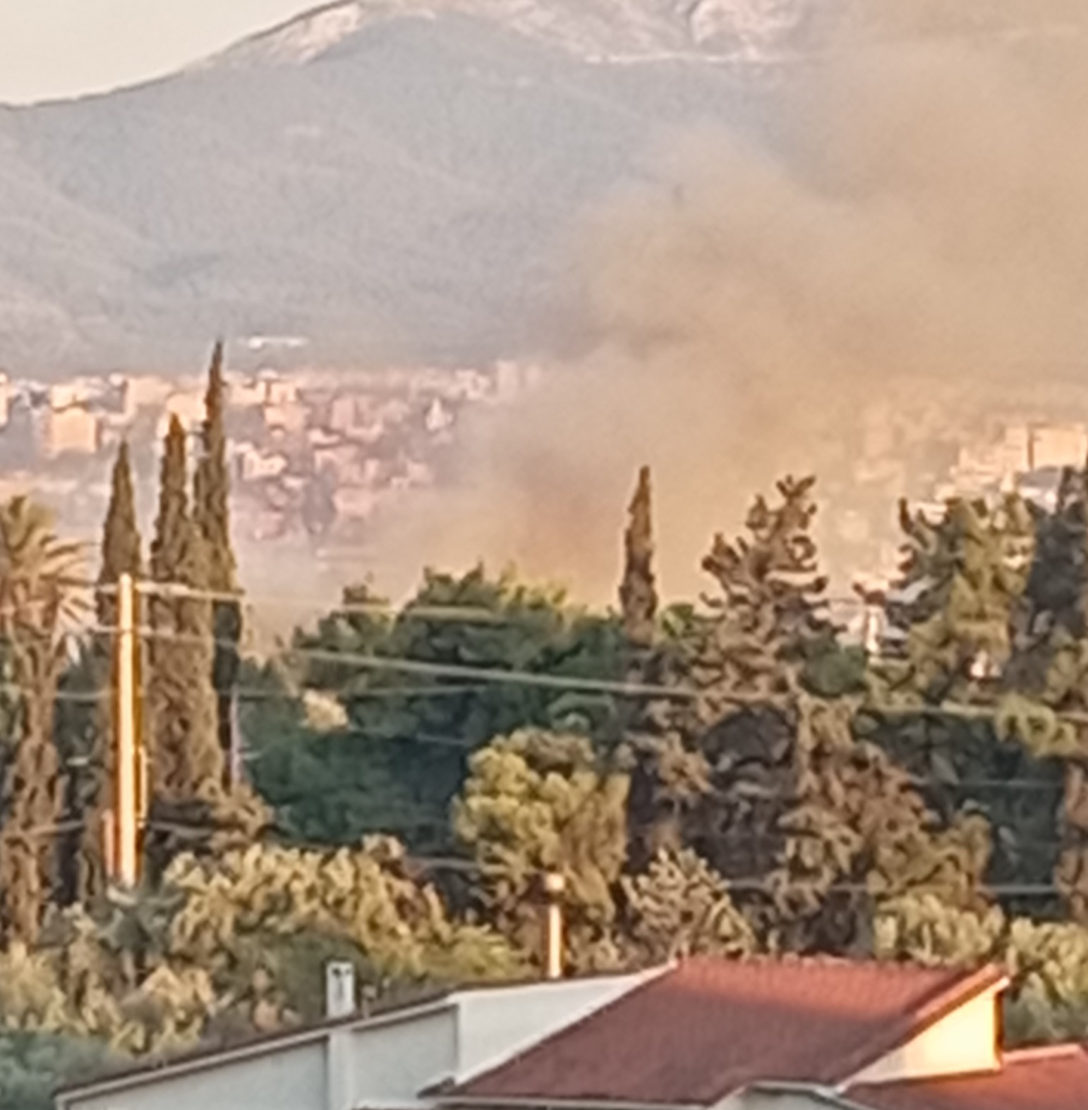 Πυρκαγιά σε οικοπεδικούς χώρους στο Μενίδι