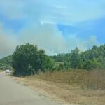 Ενισχύθηκαν οι δυνάμεις στη δασική πυρκαγιά στο Γεράκι Αμαλιάδας