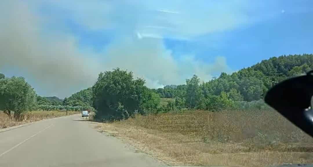 Ενισχύθηκαν οι δυνάμεις στη δασική πυρκαγιά στο Γεράκι Αμαλιάδας