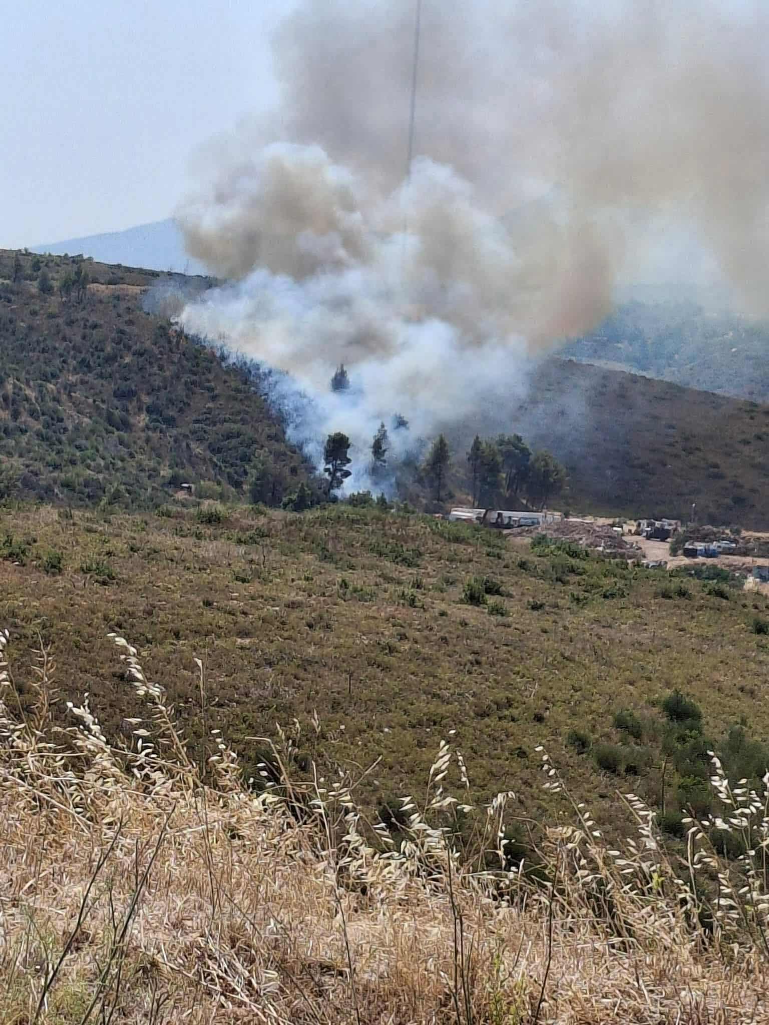 Πυρκαγιά σε δασική έκταση στον Άγιο Στέφανο Αττικής