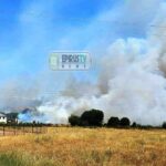 Πυρκαγιά σε χαμηλή βλάστηση στην περιοχή Πεδινή Ιωαννίνων