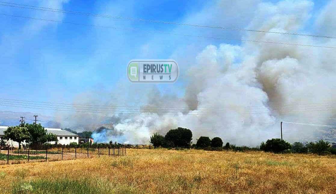 Πυρκαγιά σε χαμηλή βλάστηση στην περιοχή Πεδινή Ιωαννίνων