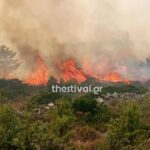 Πυρκαγιά σε χαμηλή βλάστηση στην περιοχή Πευκοδάσος Κιλκίς