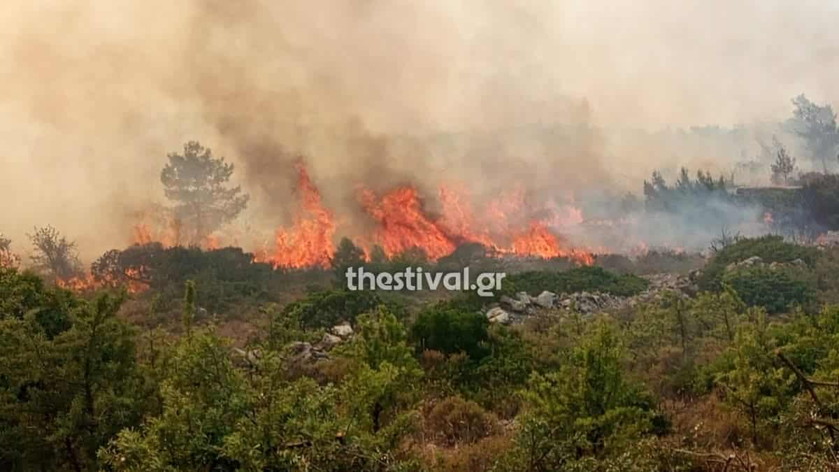 Πυρκαγιά σε χαμηλή βλάστηση στην περιοχή Πευκοδάσος Κιλκίς Πυρκαγιά σε χαμηλή βλάστηση στην περιοχή Πευκοδάσος Κιλκίς