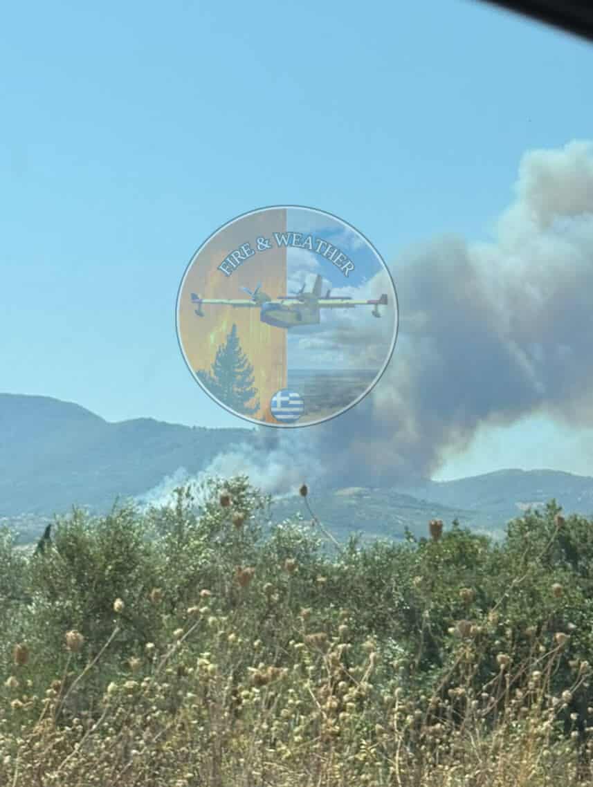 Πυρκαγιά σε δασική έκταση στην περιοχή Πολυθέα Μεσσηνίας