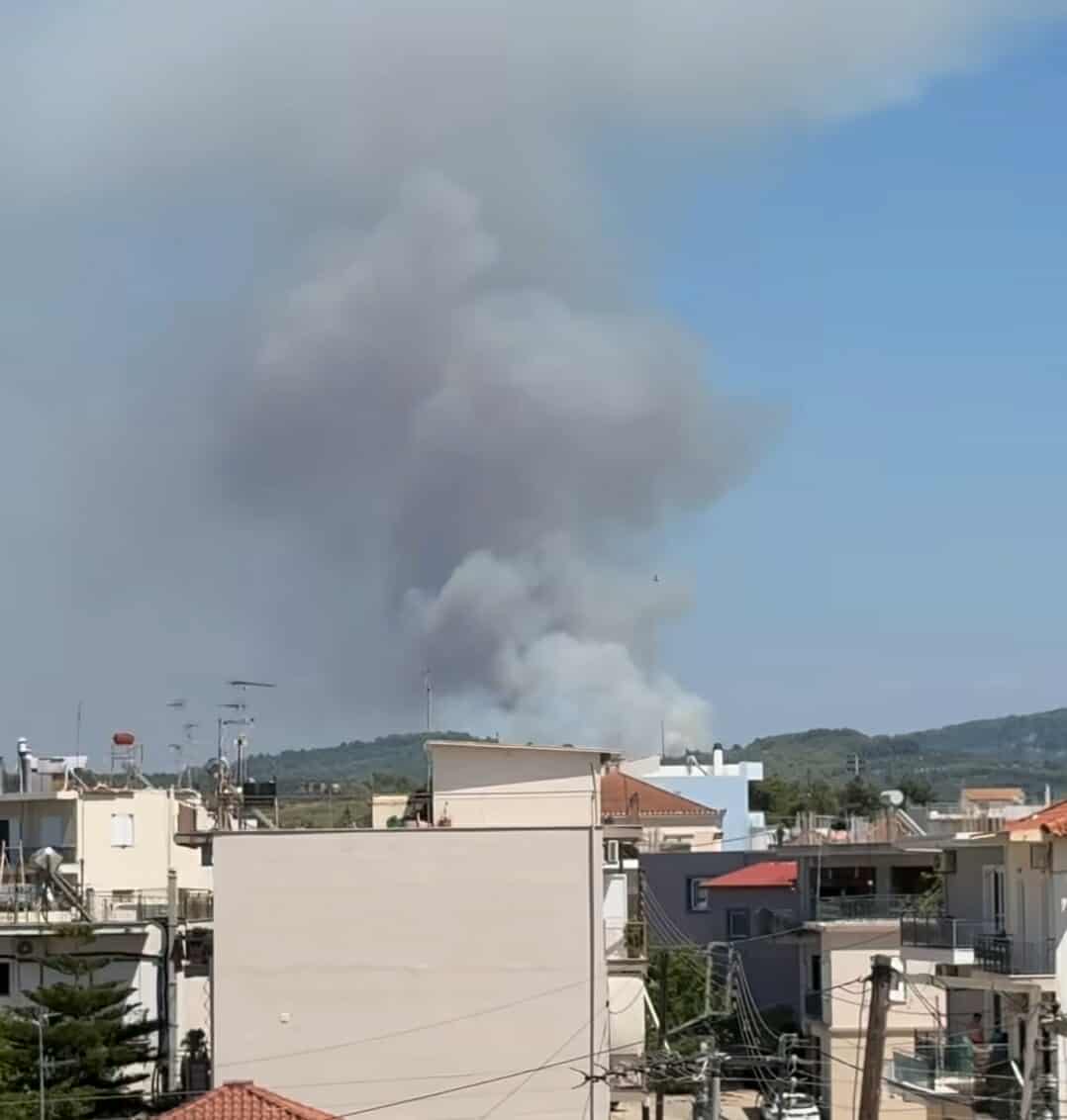 Πυρκαγιά σε δασική έκταση στο Γεράκι Ηλείας