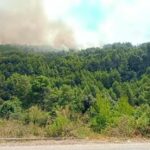 Μάχη με διάσπαρτες εστίες στο Γεράκι Αμαλιάδας – Ισχυρές επίγειες και εναέριες δυνάμεις στη μάχη