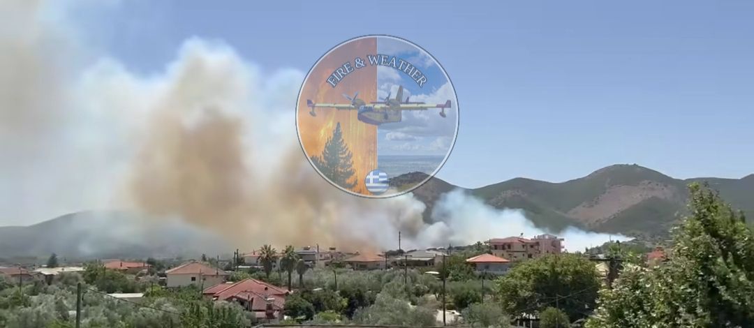 Πυρκαγιά σε δασική έκταση στο Γαρδίκι Θεσπρωτίας
