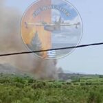 Πυρκαγιά σε αγροτική έκταση στα Ασπροπούλια Μεσσηνίας