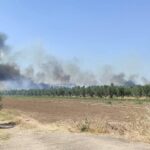 Πυρκαγιά σε χαμηλή βλάστηση στην περιοχή Αγνάντια Αλεξανδρούπολης