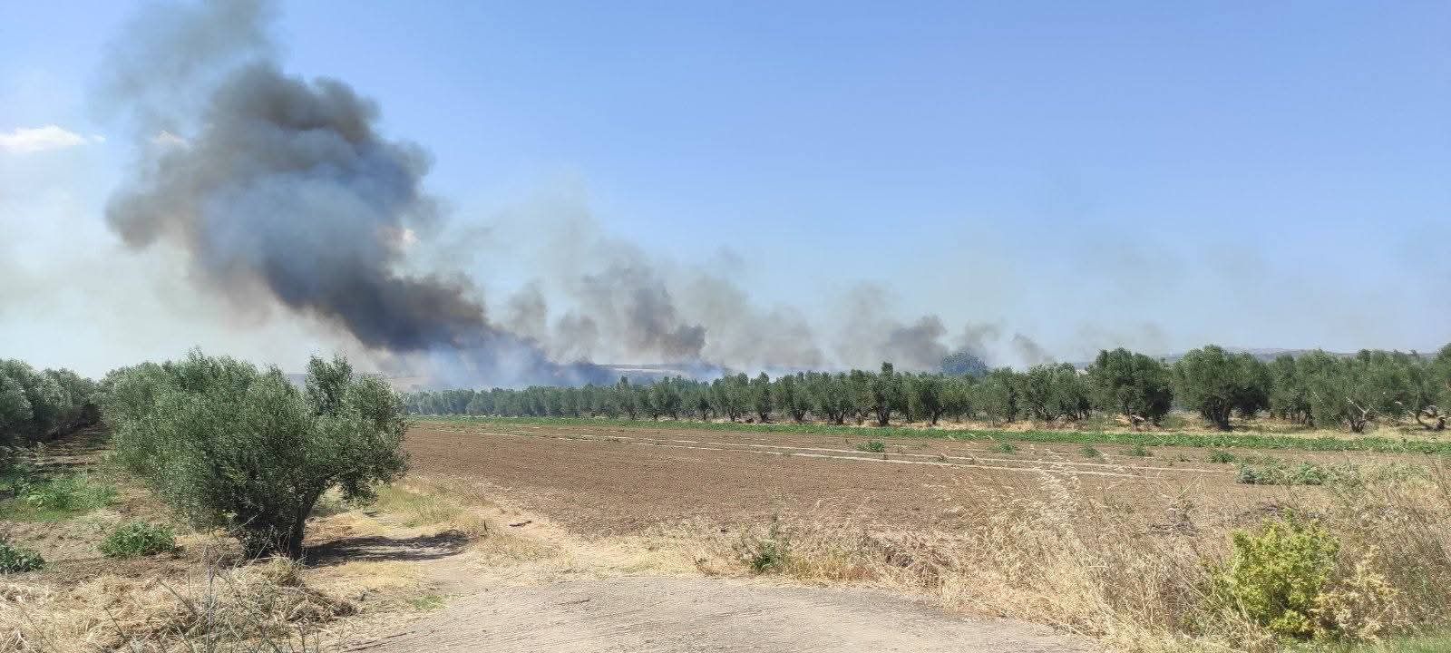 Πυρκαγιά σε χαμηλή βλάστηση στην περιοχή Αγνάντια Αλεξανδρούπολης