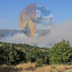 Πυρκαγιά σε δασική έκταση στην θέση Ρίζωμα στο Νεστόριο Καστοριάς